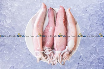 Nova Sea Foods