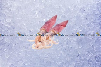 Nova Sea Foods